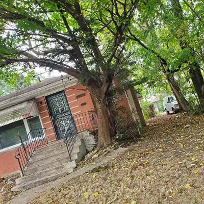Our Work